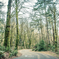 3006 80th Avenue NW, Gig Harbor, WA 98335