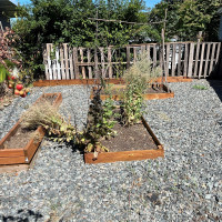 407 Grandey Way NE, Renton, WA 98056