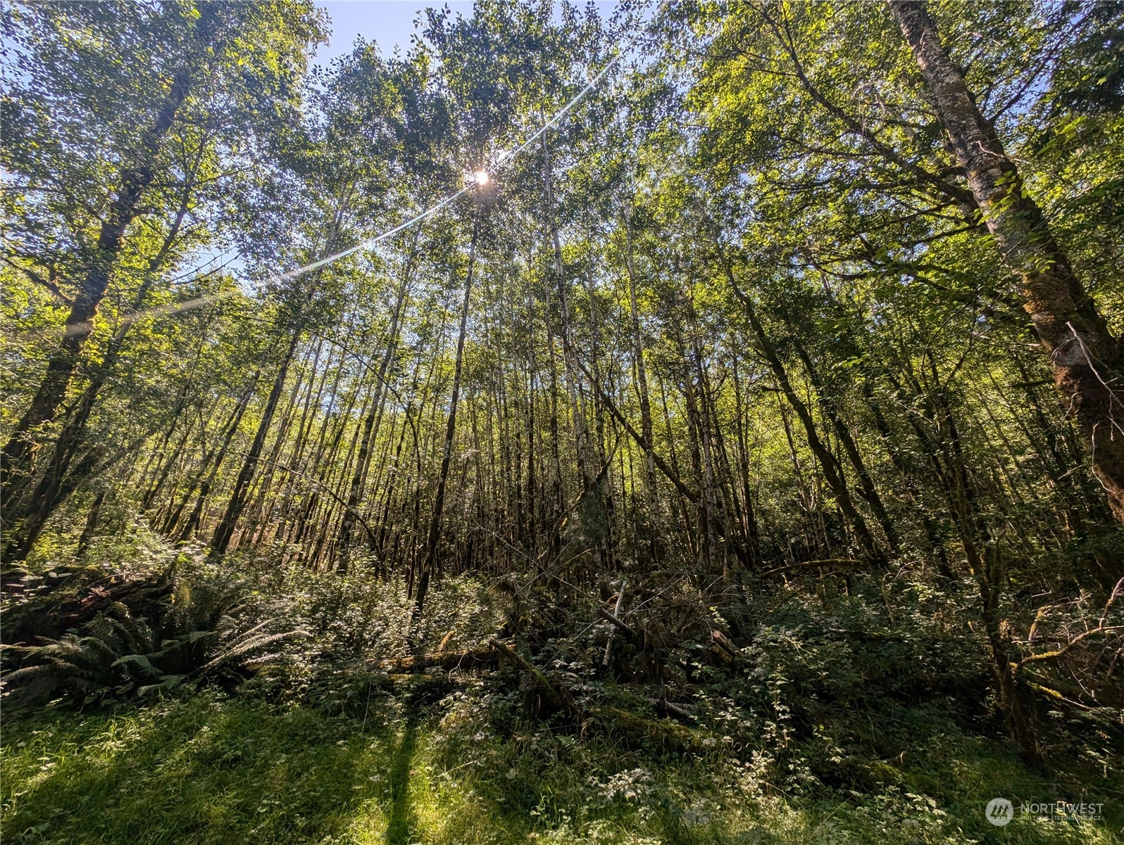 99993 Dowans Creek Road, Forks, WA 98331