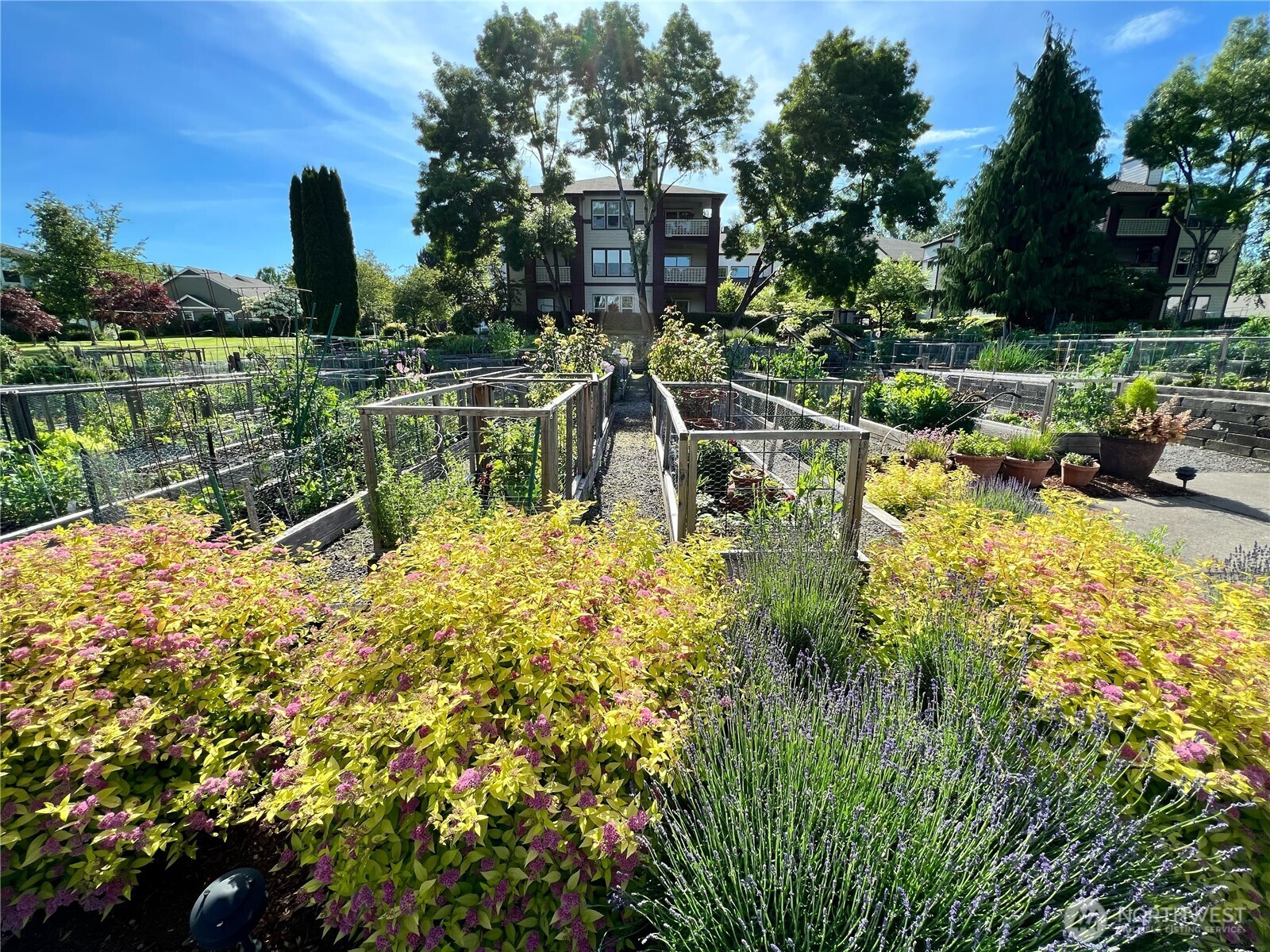 4228 221st Place SE, Issaquah, WA 98029