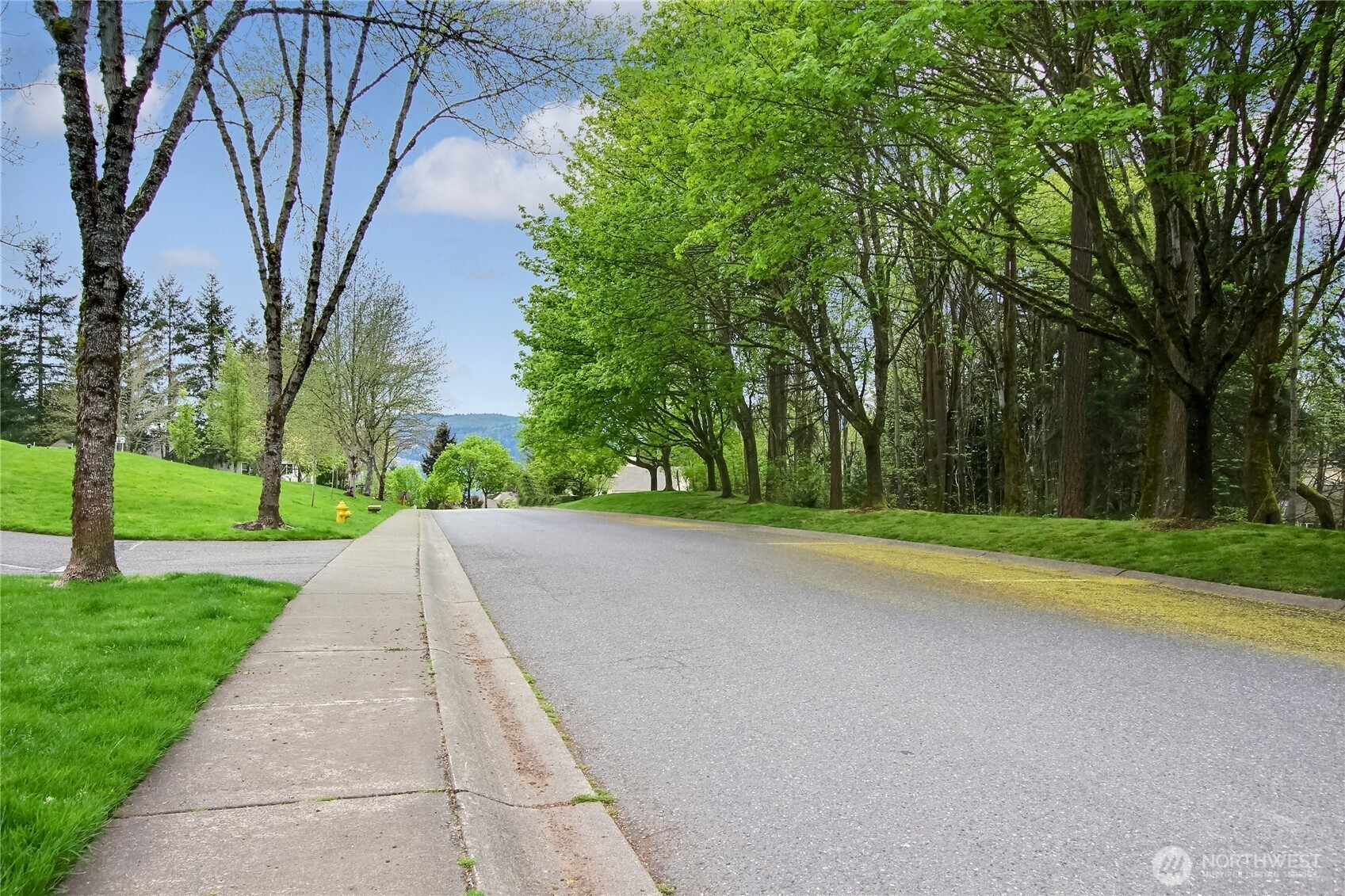 4228 221st Place SE, Issaquah, WA 98029