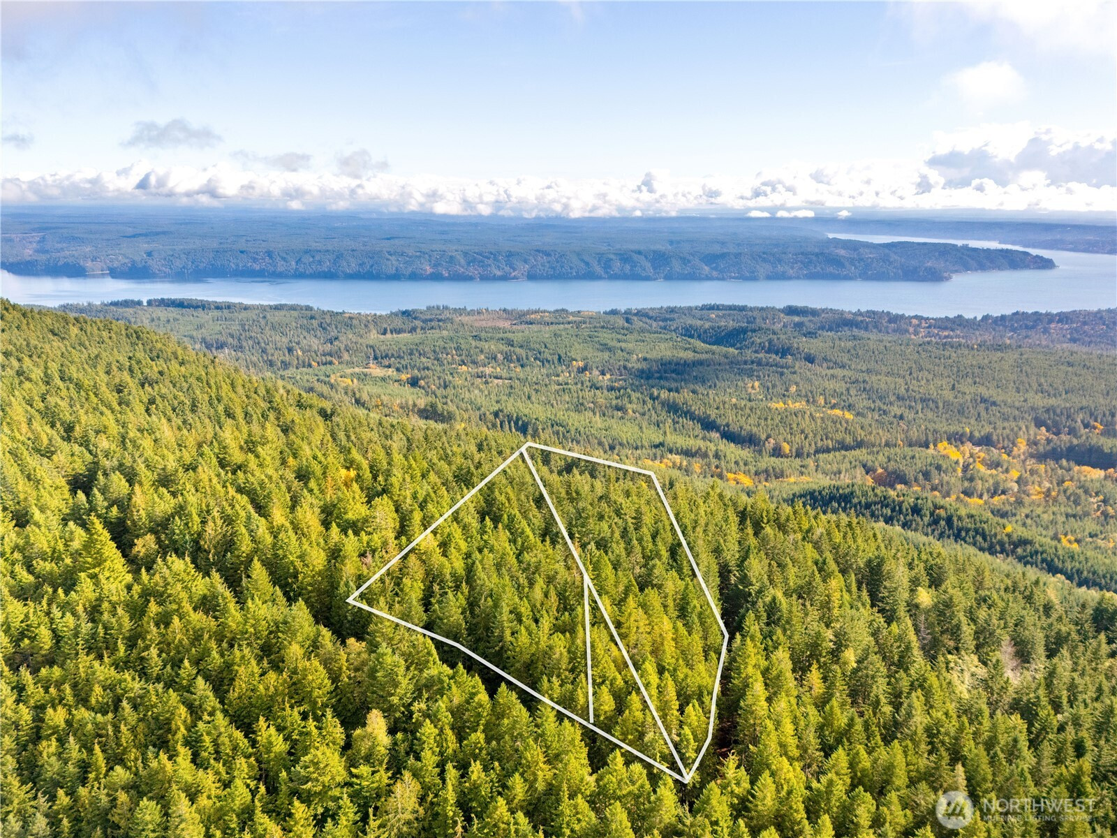 1350 N Hilltop Loop Road, Hoodsport, WA 98548