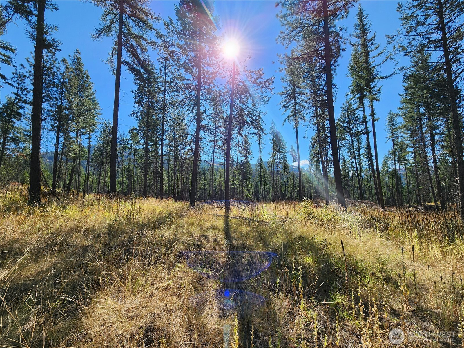 0 Sleepy Hollow Road, Curlew, WA 99118
