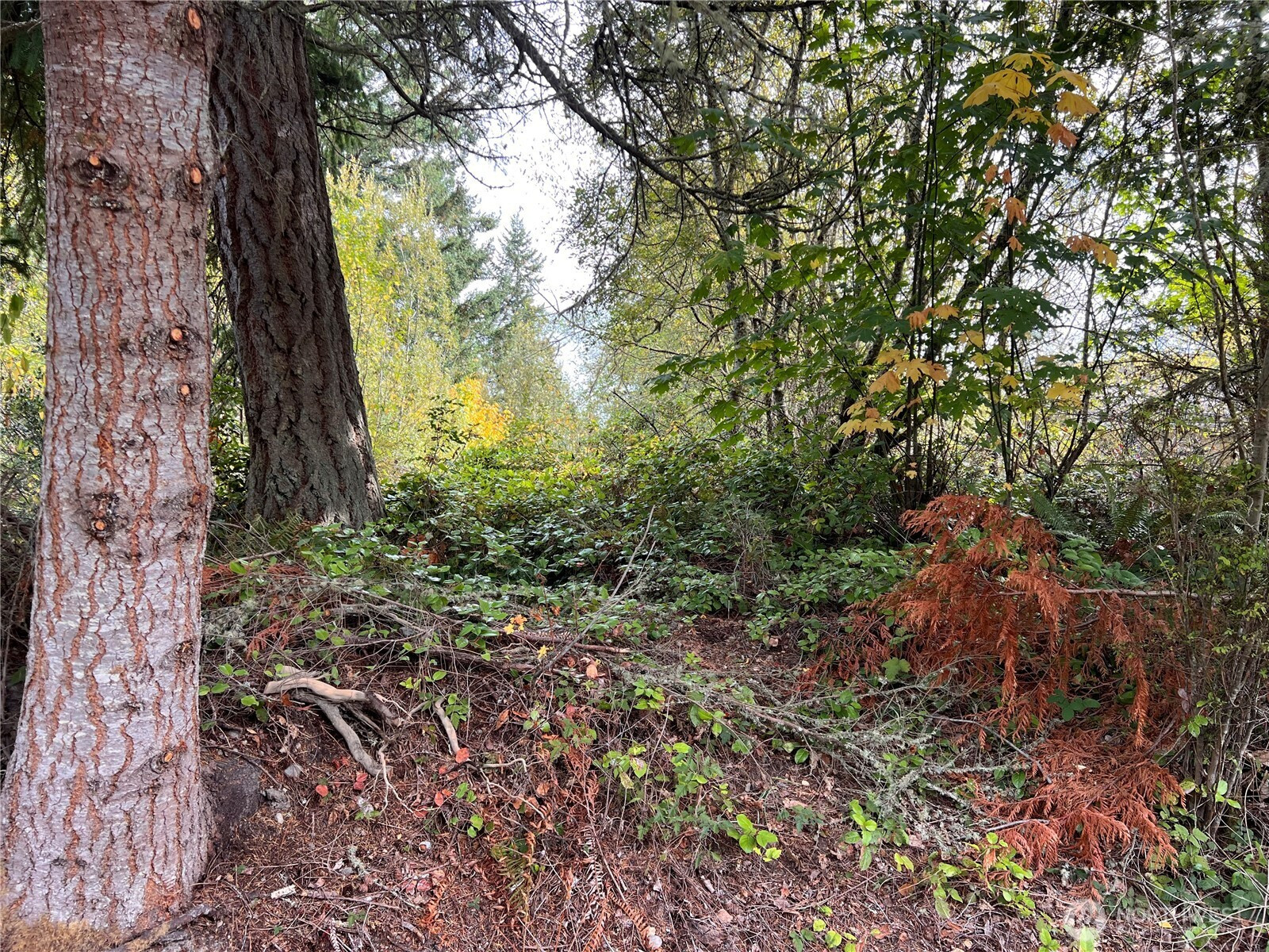 21 Camano Lane, Port Ludlow, WA 98365