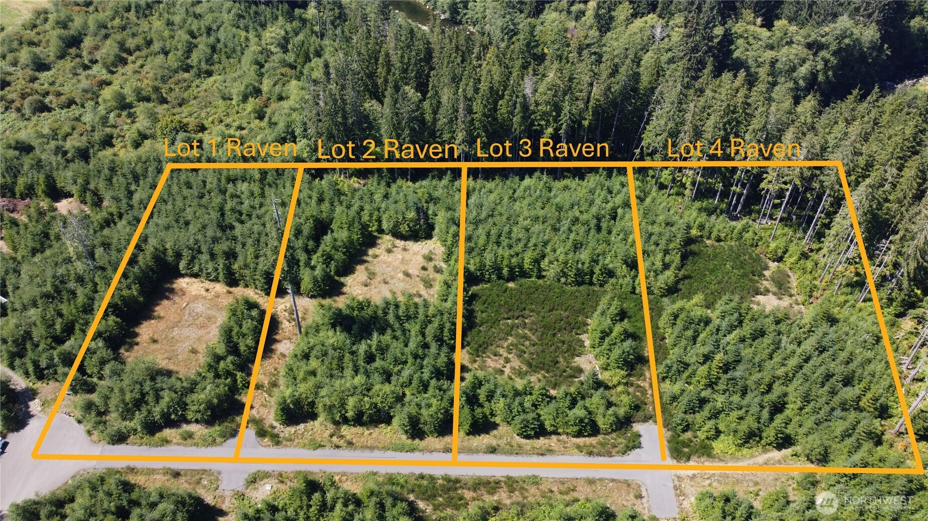 9999 King Johns-Lot 4 Ravens SP Way, Forks, WA 98331