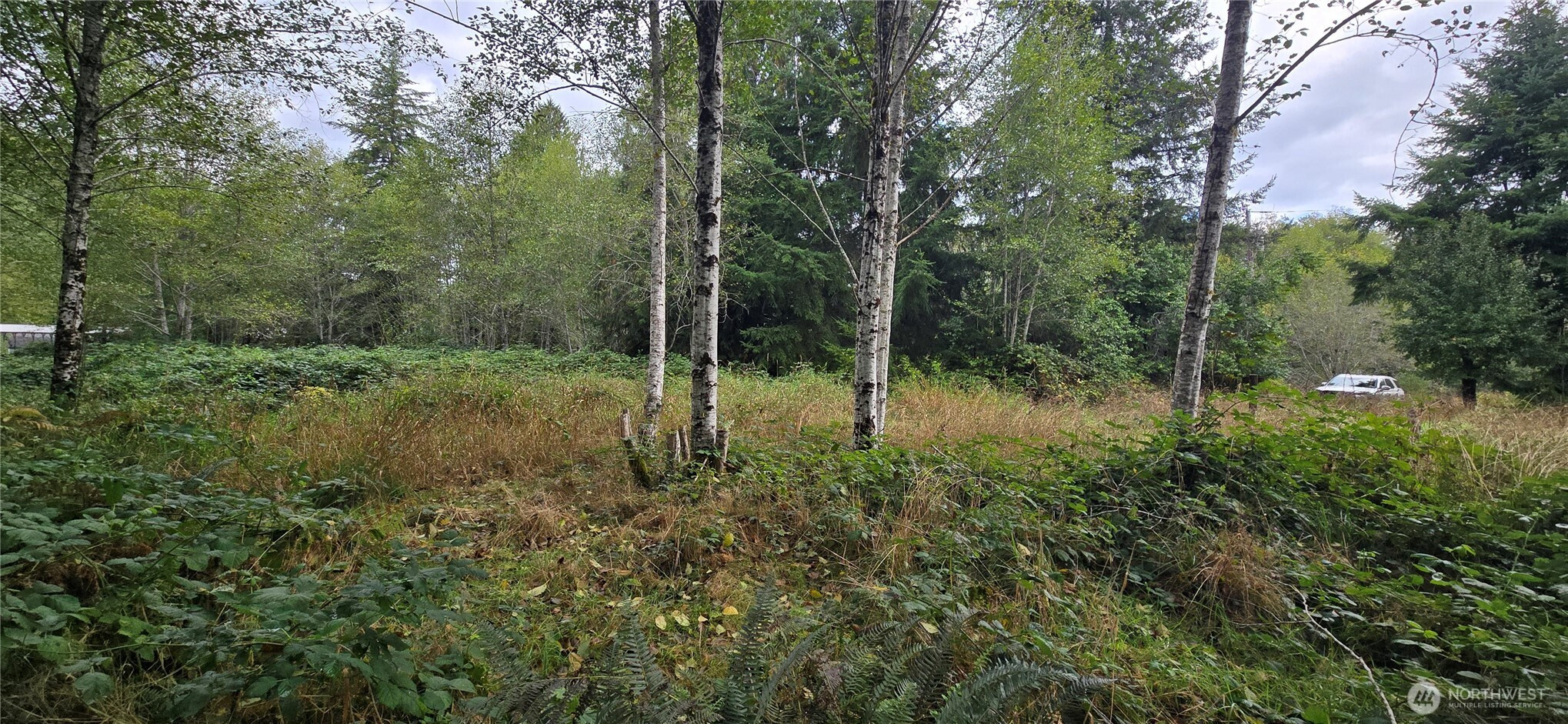 1351 Satsop Road W, Montesano, WA 98563