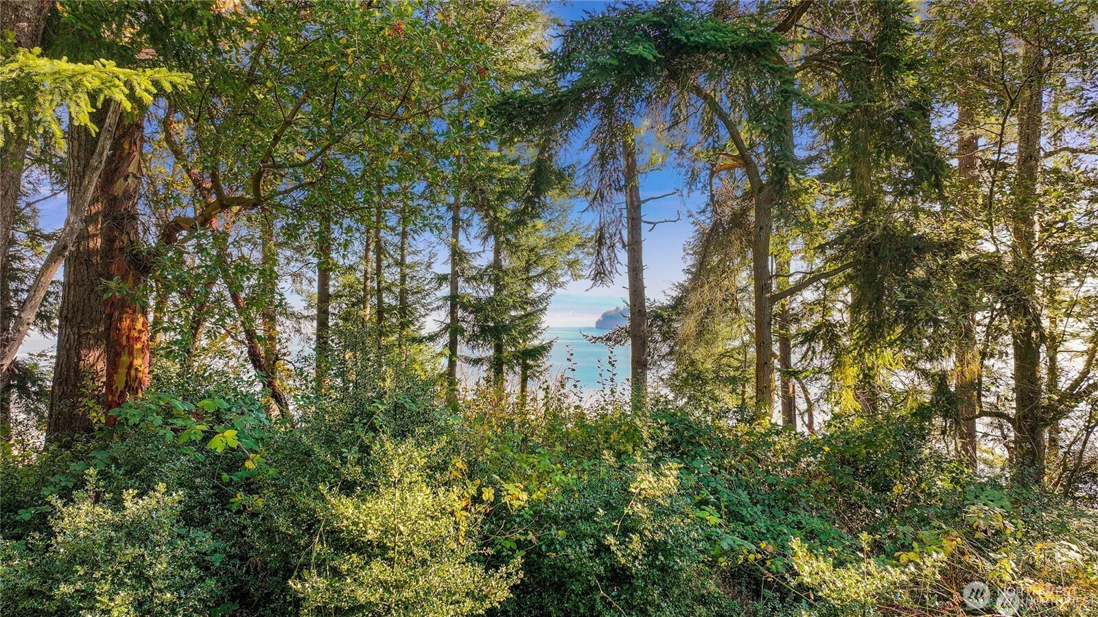 0 XXX Waterside Lane, Langley, WA 98260
