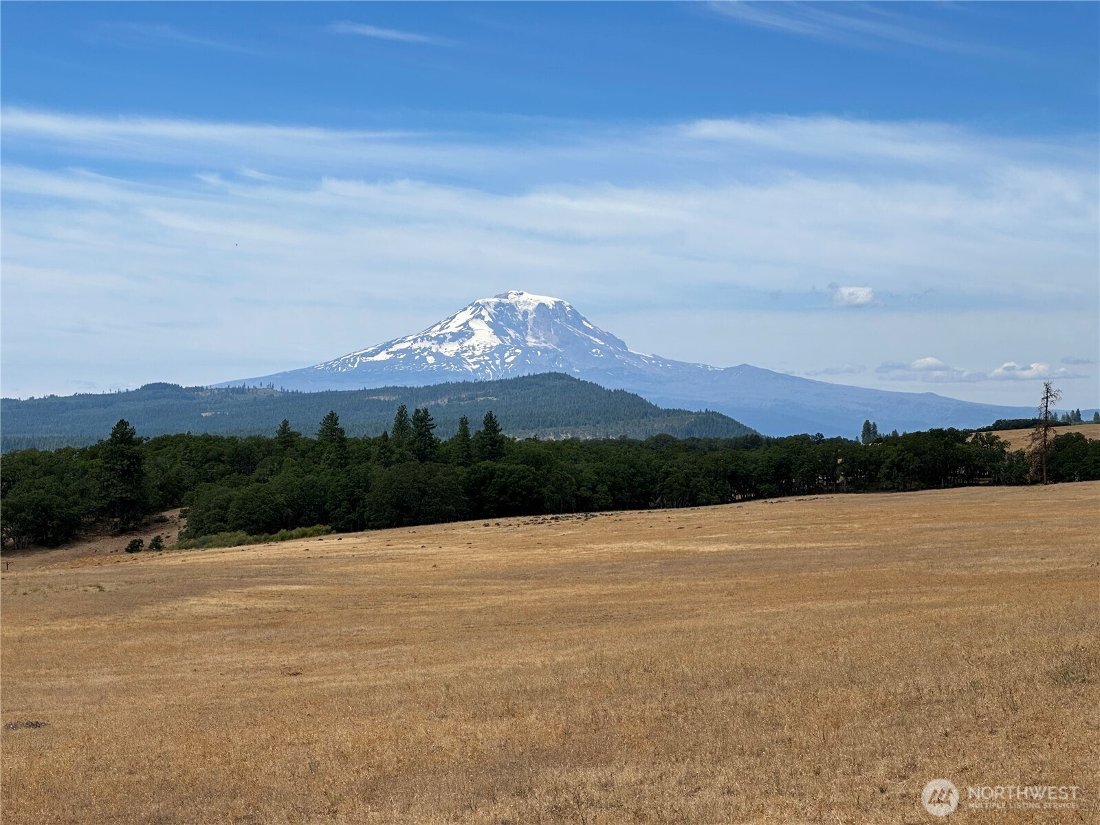 27 Greyback Mtn Road, Goldendale, WA 98620