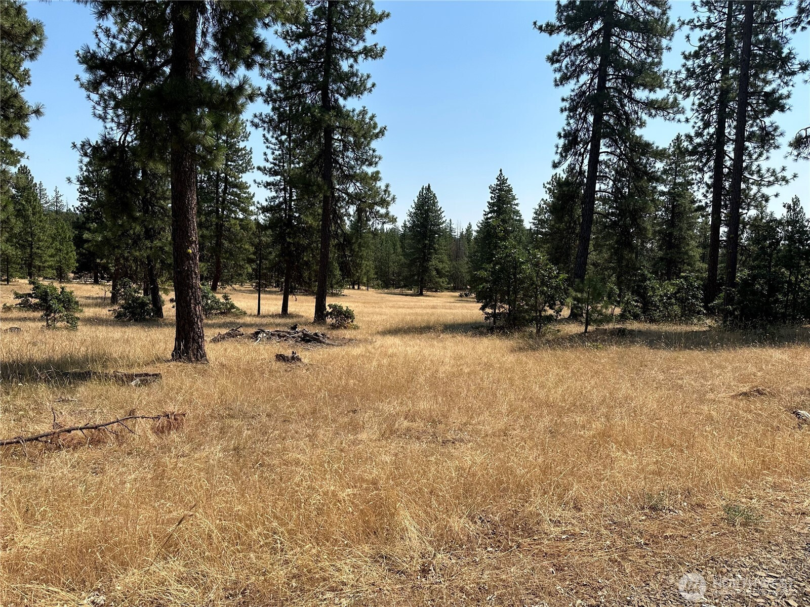 13 Greyback Mtn Road, Goldendale, WA 98620