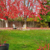 21009 Brown Road, Monroe, WA 98272