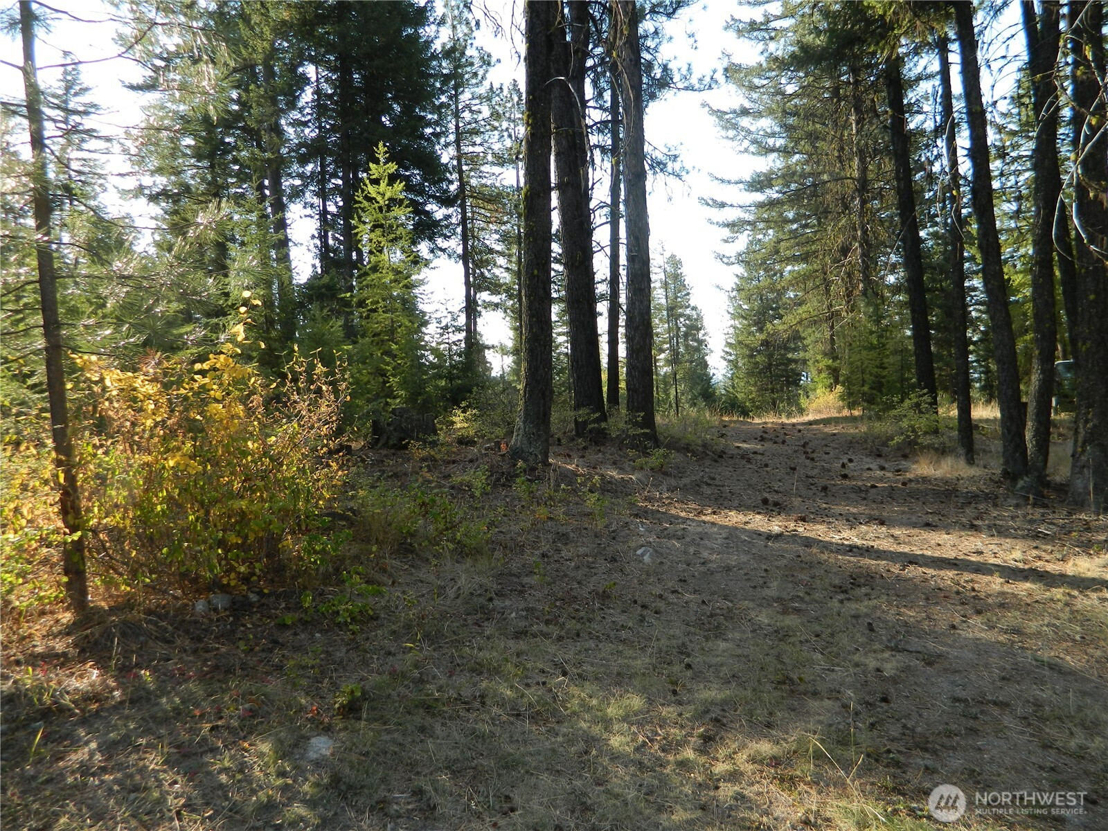 1111 TBD Rone Road, Tonasket, WA 98855