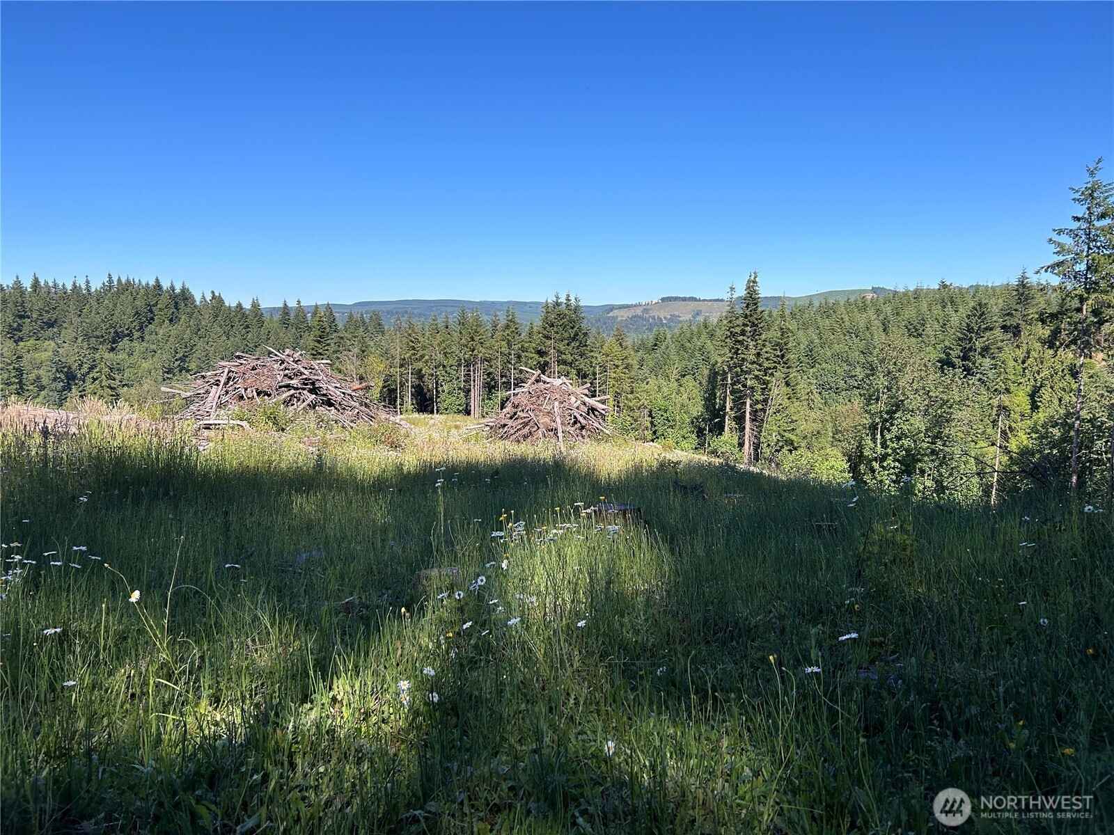 125 Talkeetna Heights Place, Kelso, WA 98626