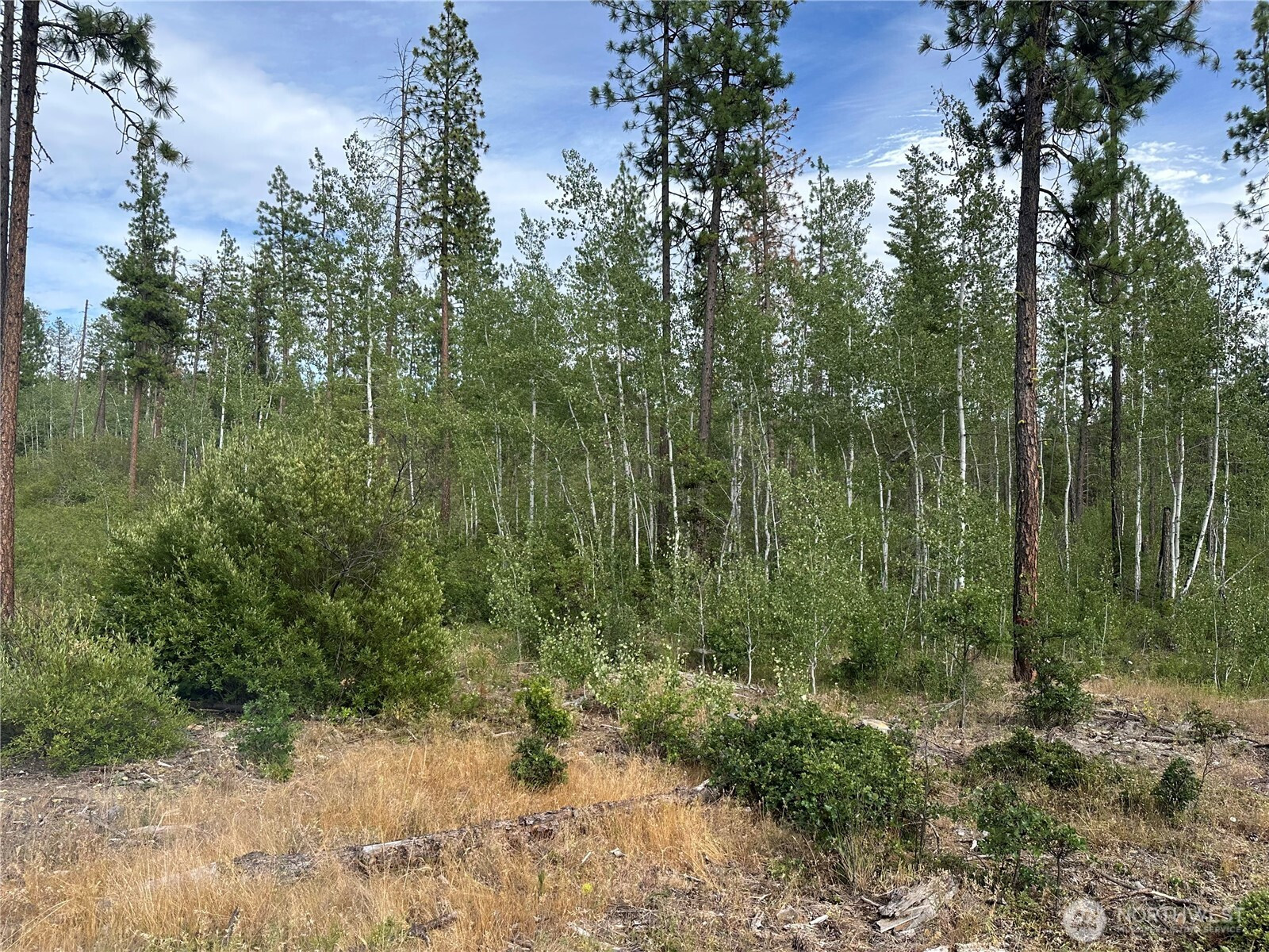 5 Greyback Mt Road, Goldendale, WA 98620