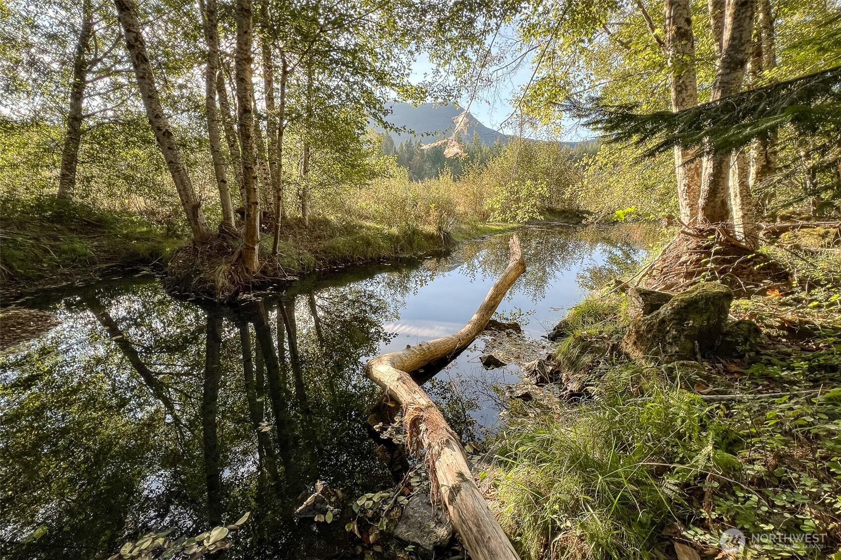 0 Rainbow Place, White Pass, WA 98361