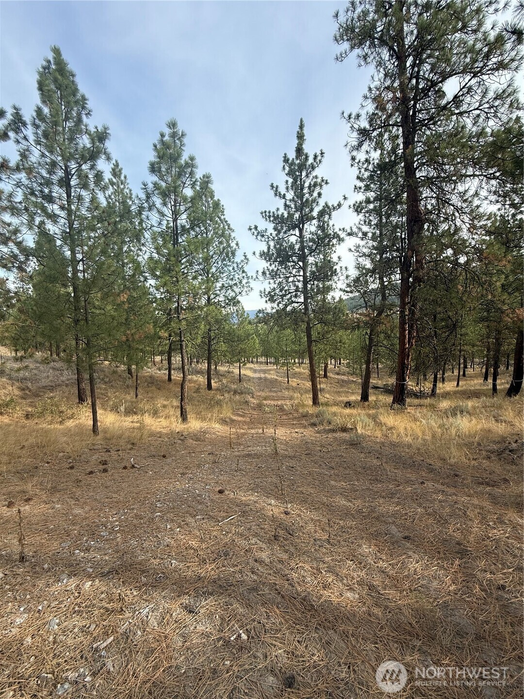 67 W Bannon Creek Road, Tonasket, WA 98855