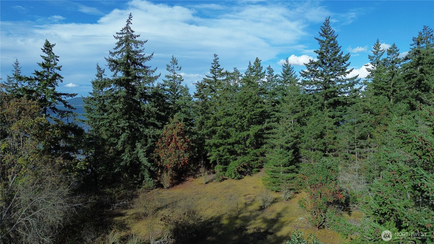 7701 NHN State Route 20, Anacortes, WA 98221