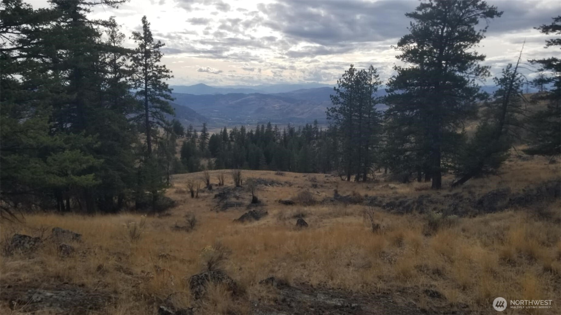 0 Blue Grouse (Div 5, Lot 42), Oroville, WA 98844