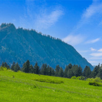 66 x1 Upper Peoh Point Road, Cle Elum, WA 98922