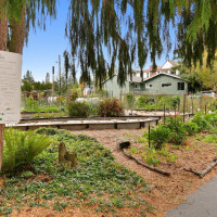 13005 1st Avenue NE, Seattle, WA 98125