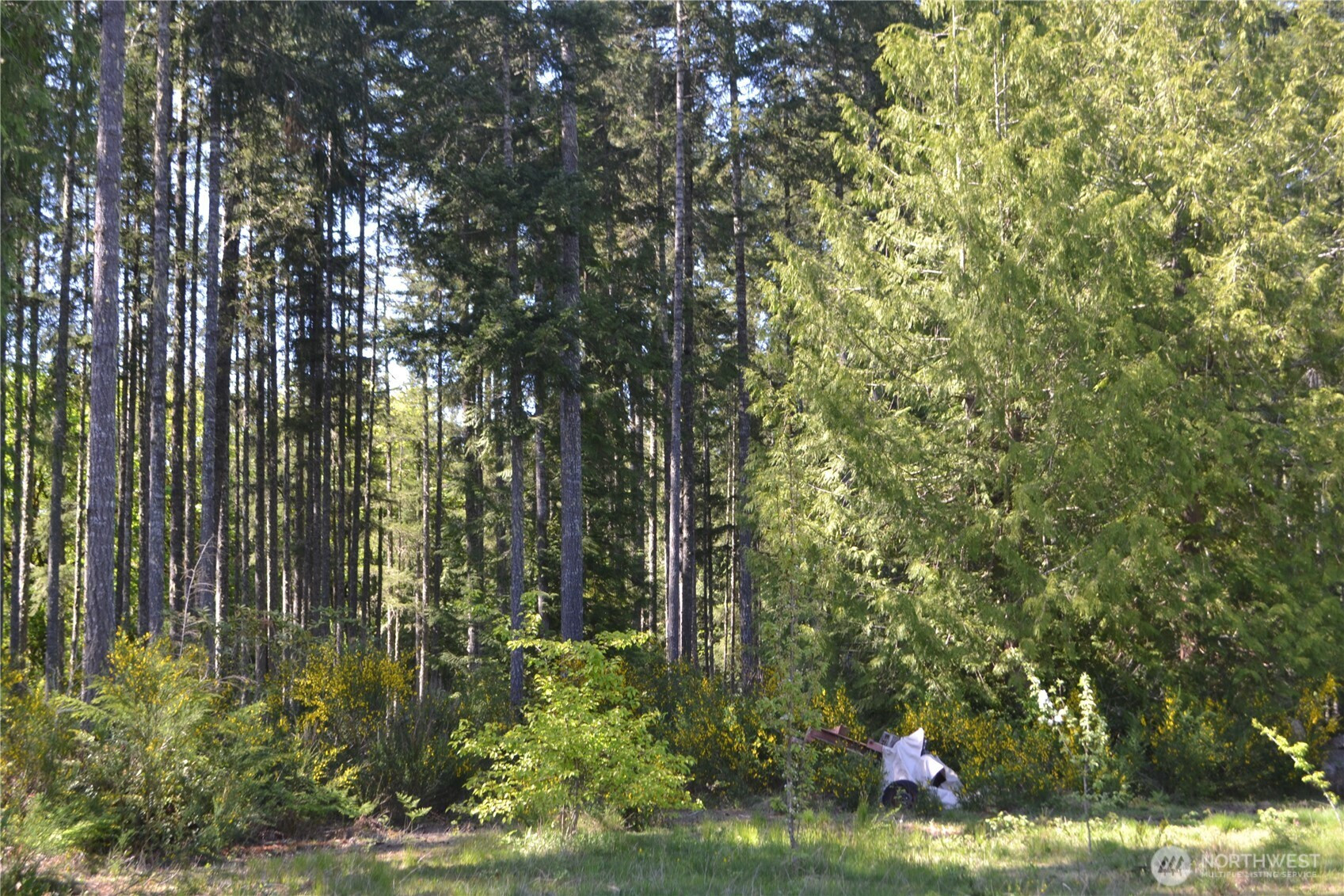 7975 Seabeck Highway NW, Bremerton, WA 98312