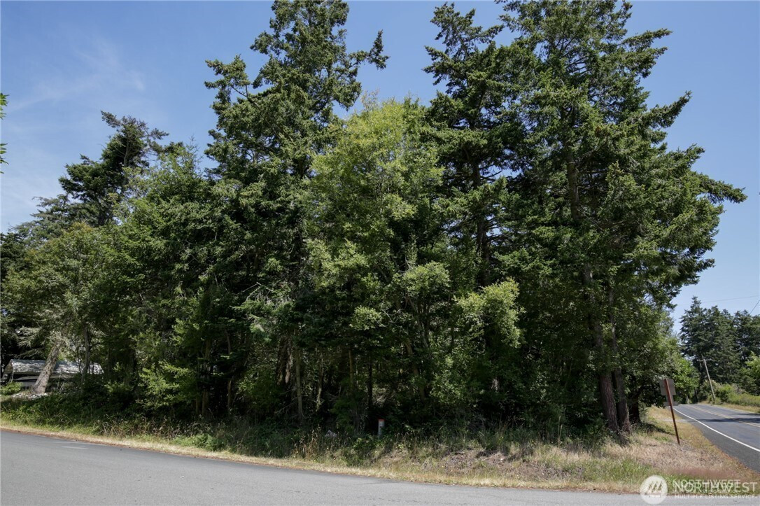 0 Coronado Avenue, Coupeville, WA 98239