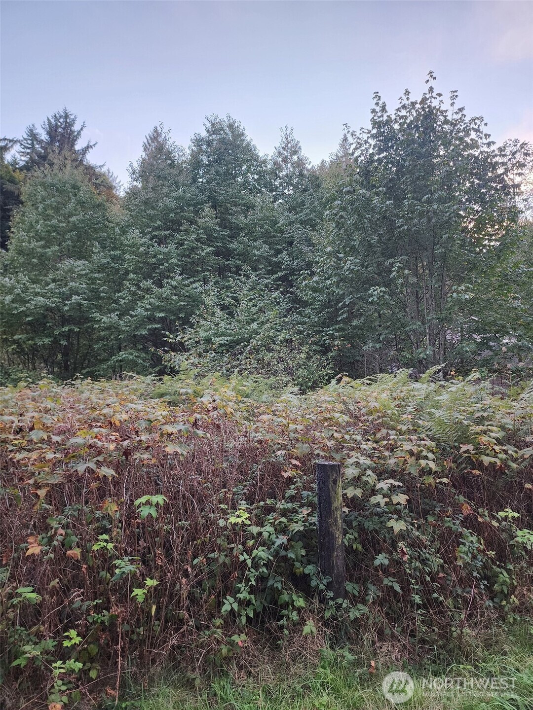 4828 Schwarzmiller Road, Lake Stevens, WA 98258