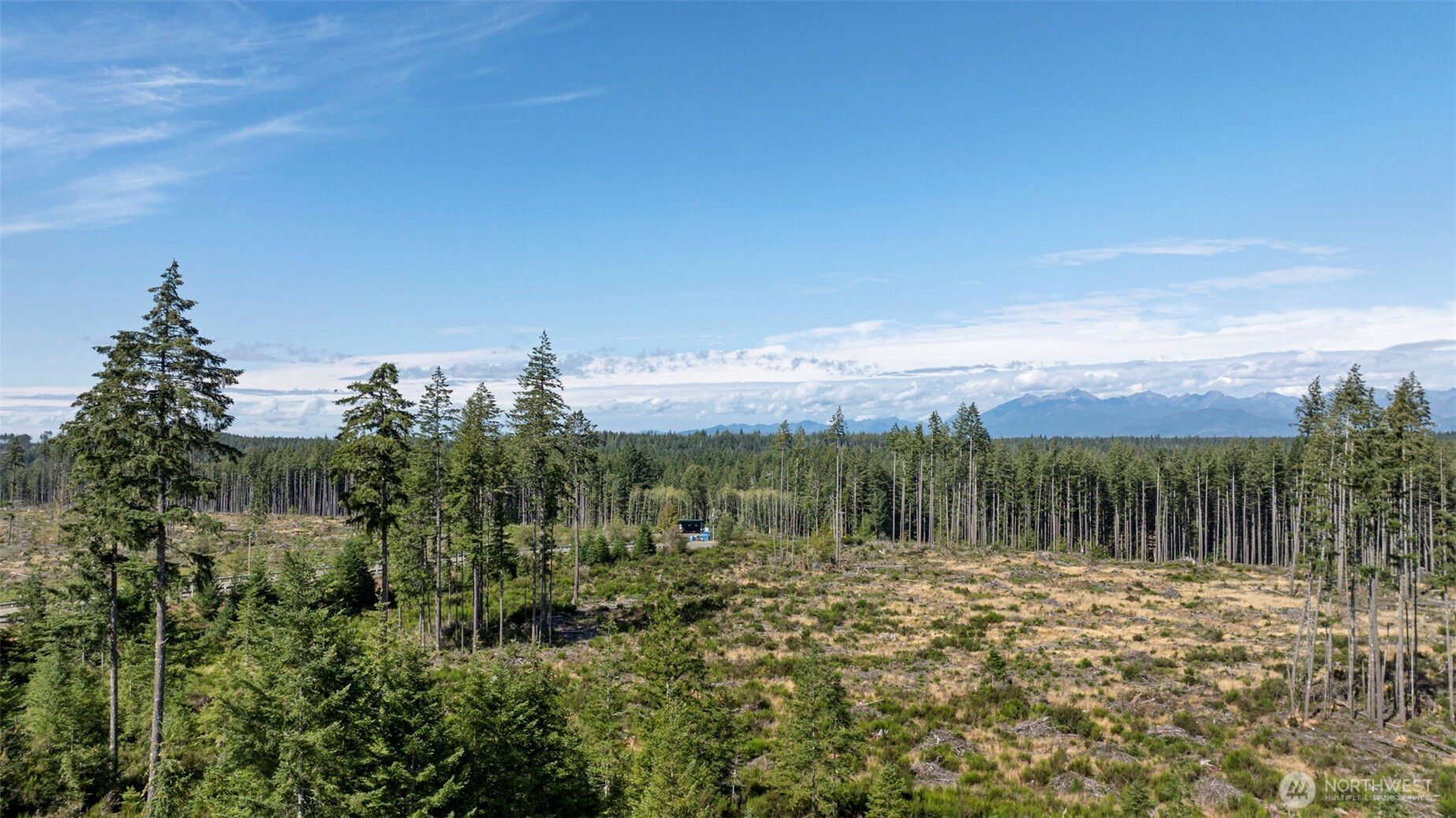 111 NE Ridgetop Court, Belfair, WA 98528