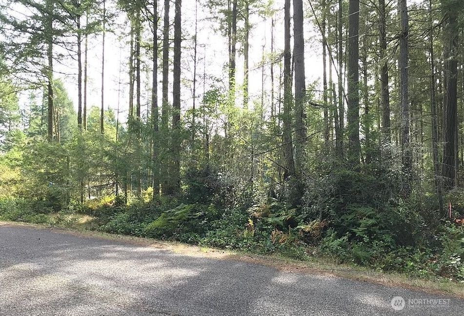 11507 Lake Josephine Avenue, Anderson Island, WA 98303