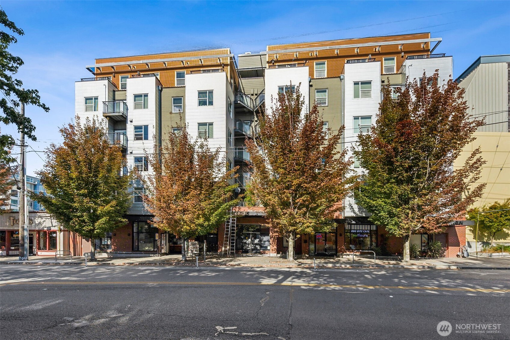 1026 NE 65th Street, Seattle, WA 98115