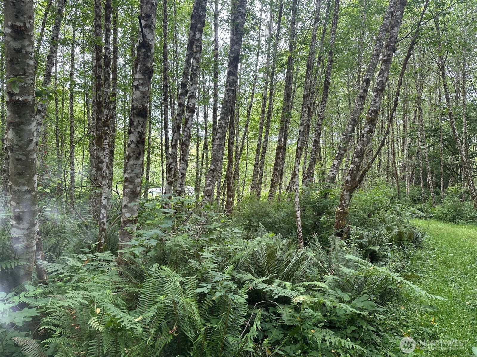 295 Oak Point Road, Longview, WA 98632