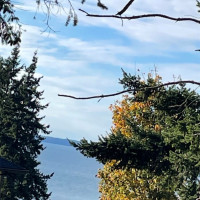 8795 Charel Drive, Blaine, WA 98230