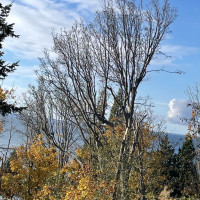 8795 Charel Drive, Blaine, WA 98230