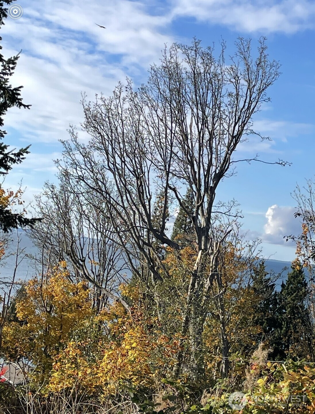 8795 Charel Drive, Blaine, WA 98230