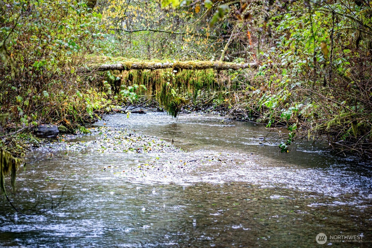 292 Sportsman Club Road, Forks, WA 98331