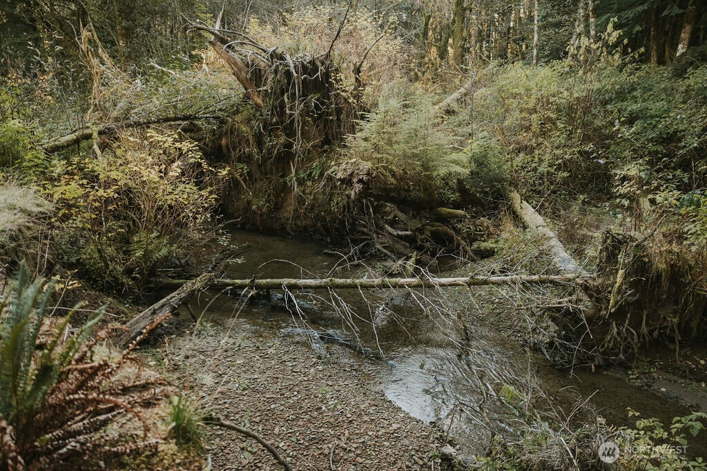 170 Sportsman Club Road, Forks, WA 98331