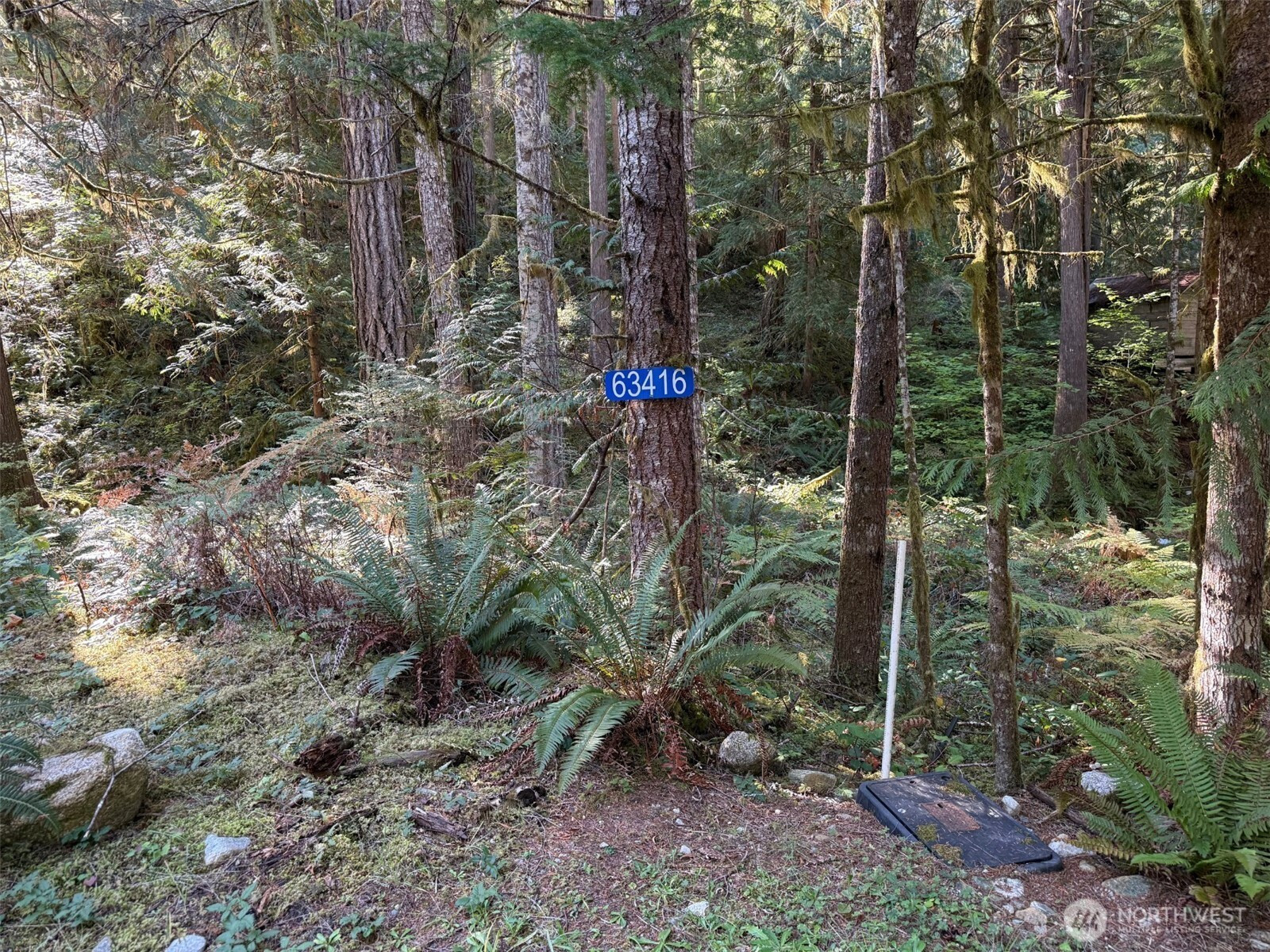 63416 E Ross Place, Marblemount, WA 98267
