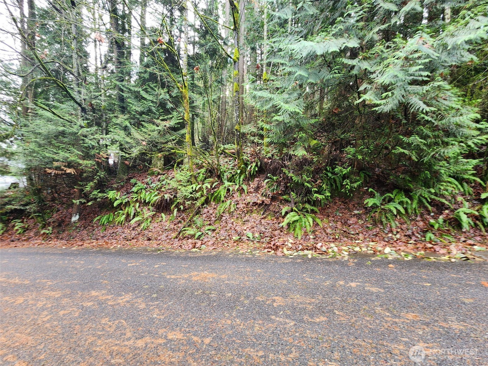 545 Ellerwood St SW, Issaquah, WA 98027