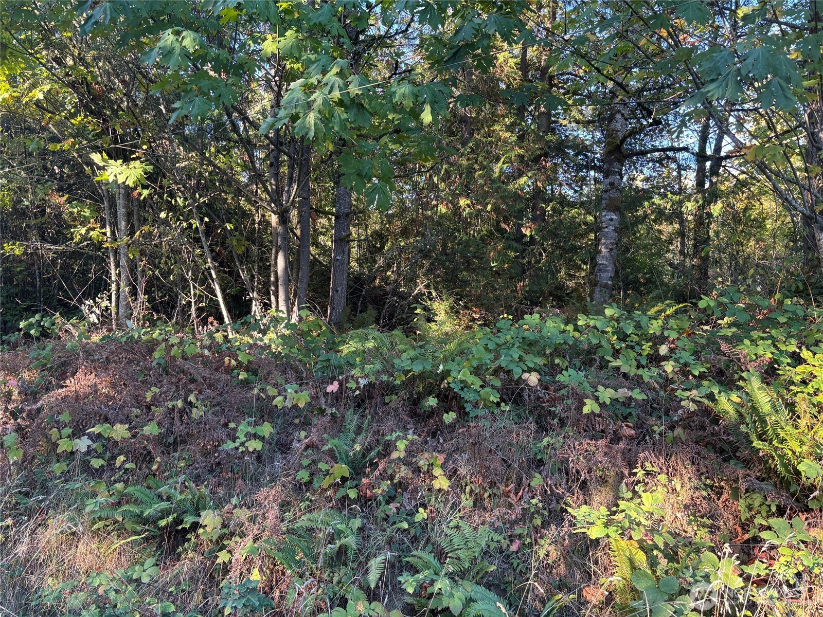 12301 Old Military Road NE, Poulsbo, WA 98370