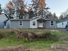 361 Eridani Loop SE, Ocean Shores, WA 98569