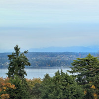 214 31st Avenue S, Seattle, WA 98144