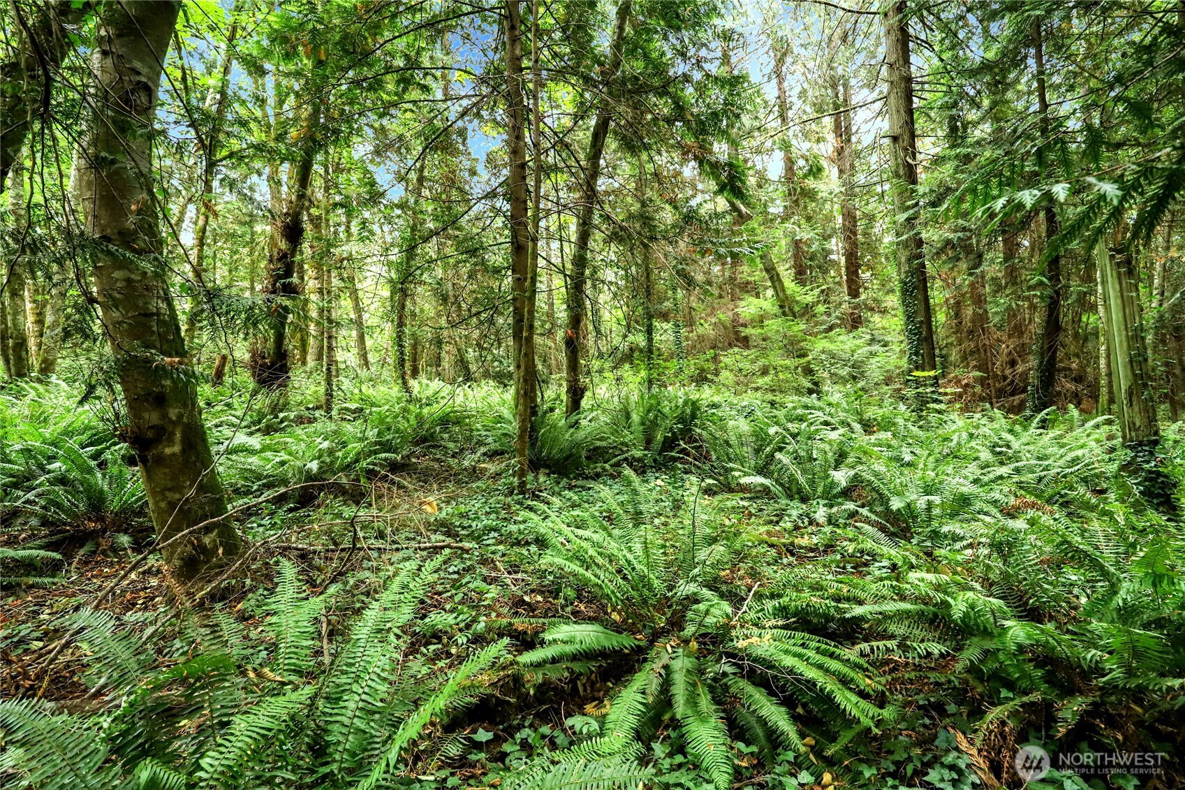 0 NE Midway Avenue, Indianola, WA 98342