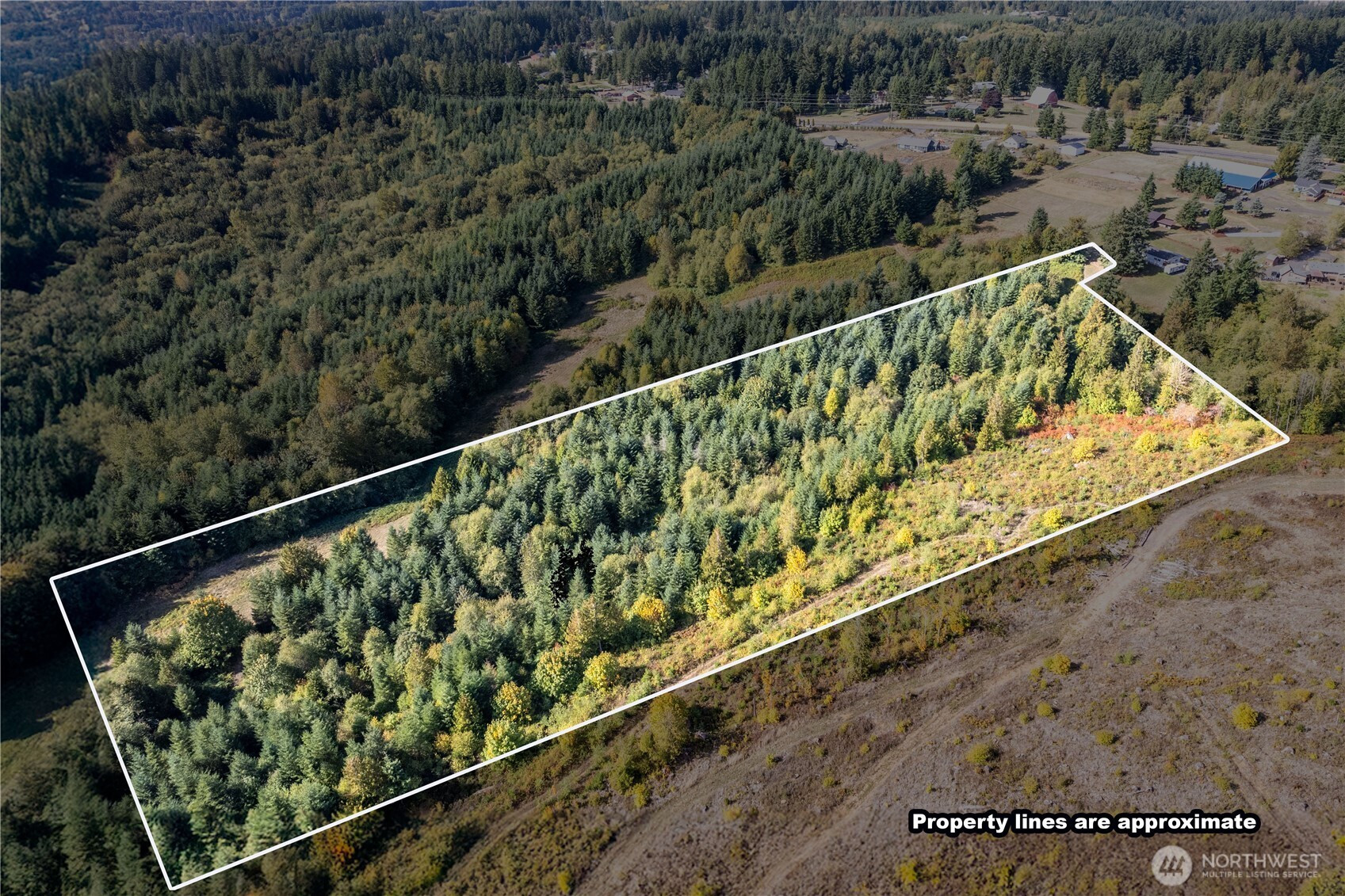0 Lot 7 Spirit Lake Parcel WK3612009 Highway, Castle Rock, WA 98611