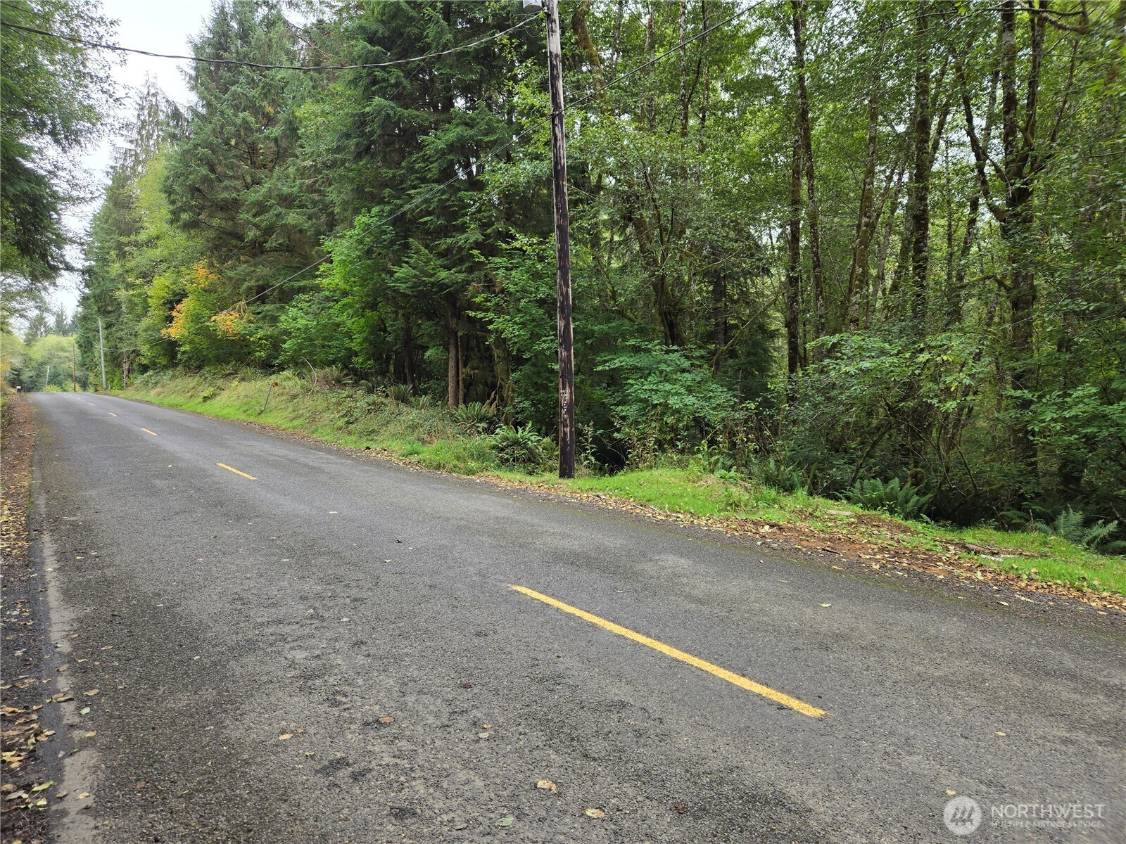 0 NKA Lund Road, Cosmopolis, WA 98537