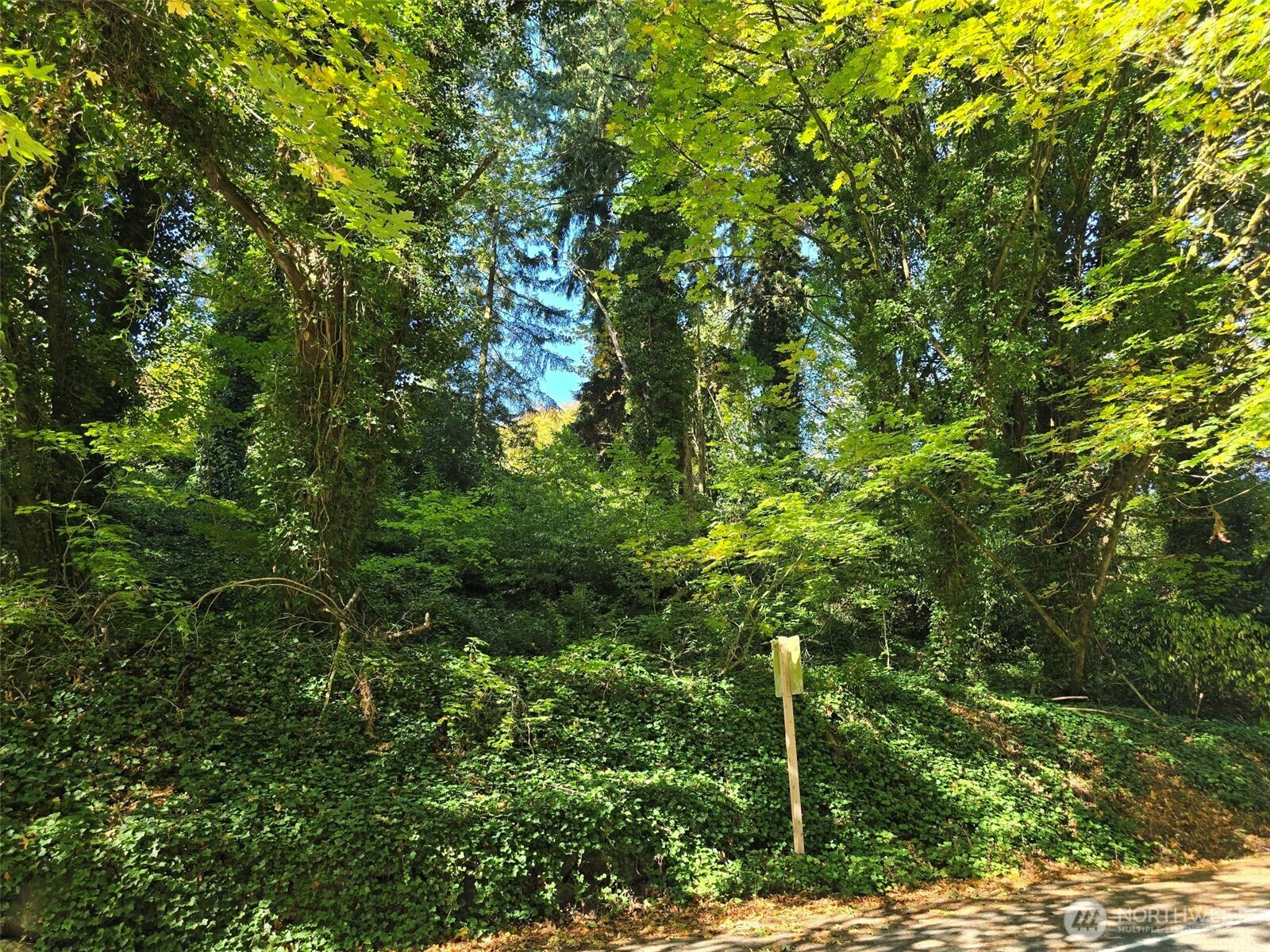 0 37th Place S, SeaTac, WA 98198