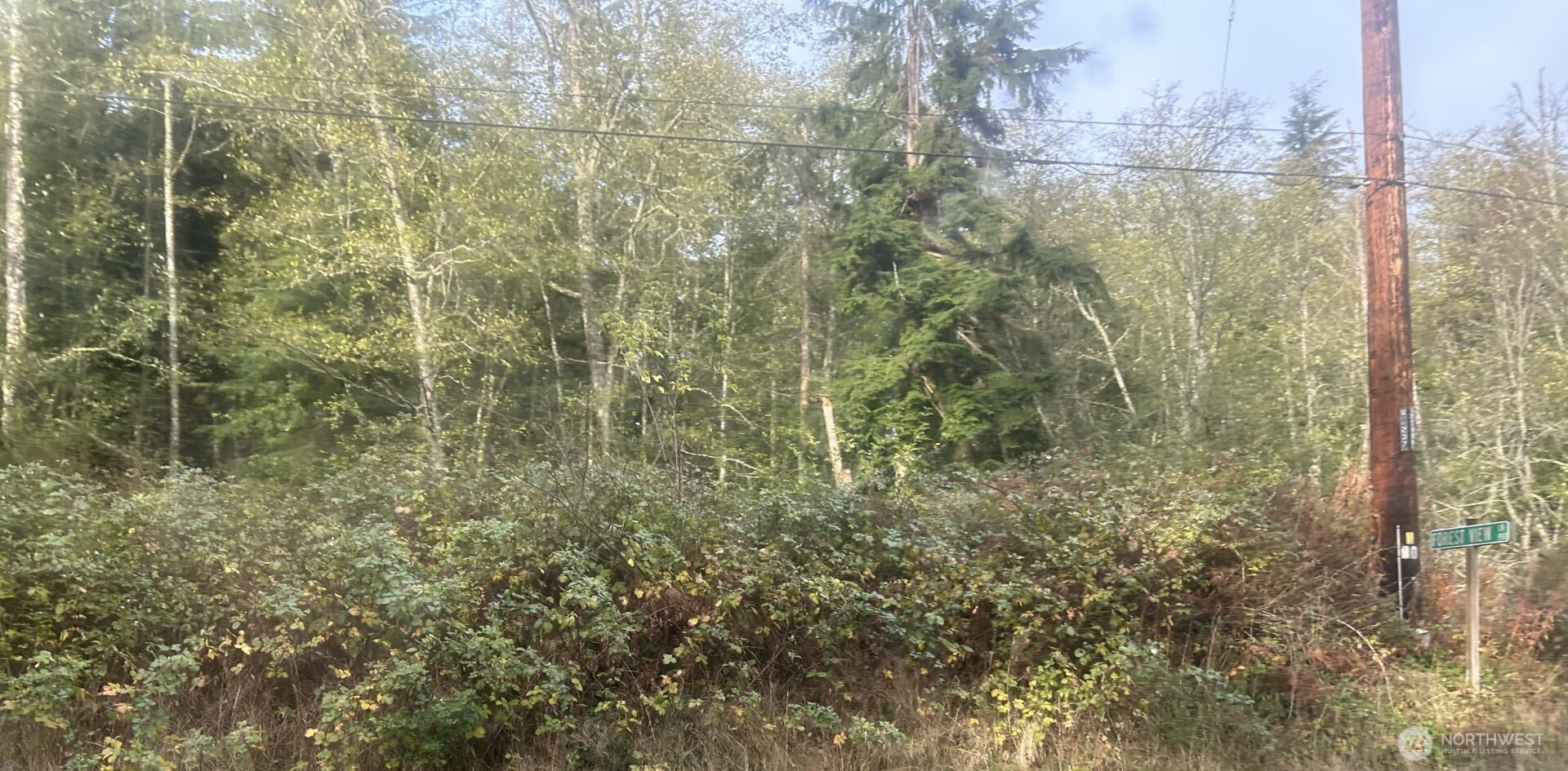 0 Forest View Lane, Greenbank, WA 98253