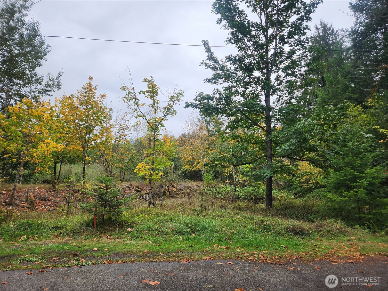 0 Lot 12 Slalom Way, Packwood, WA 98361