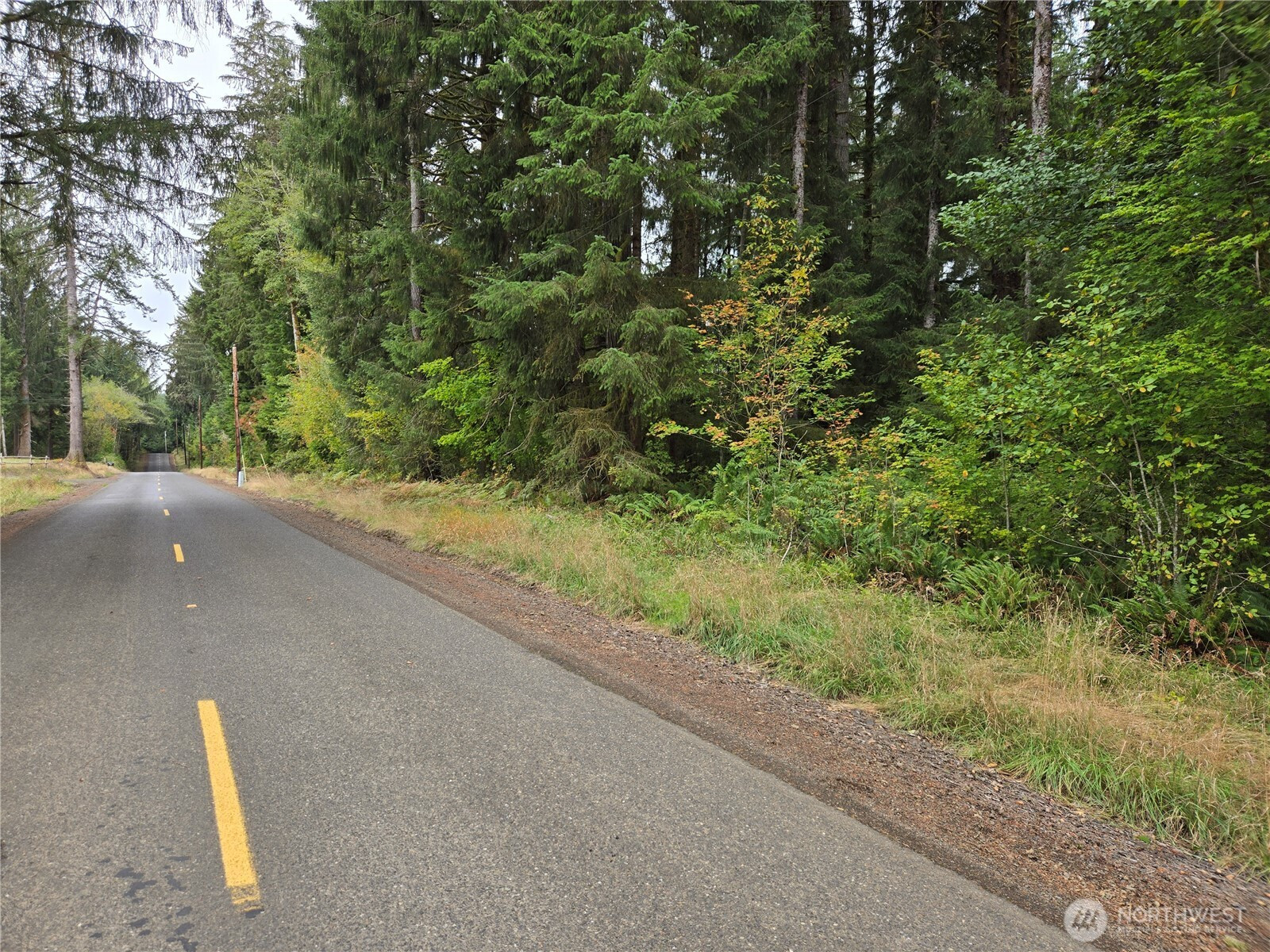 0 Lund Road, Cosmopolis, WA 98537
