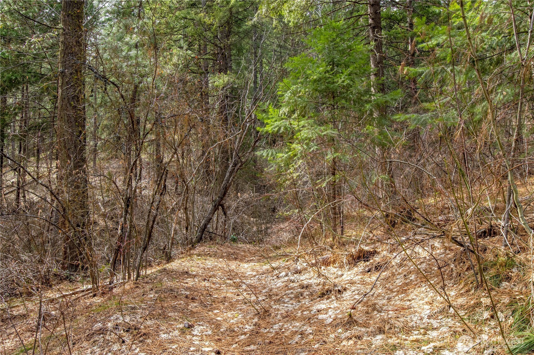 1 Chumstick Highway, Leavenworth, WA 98826