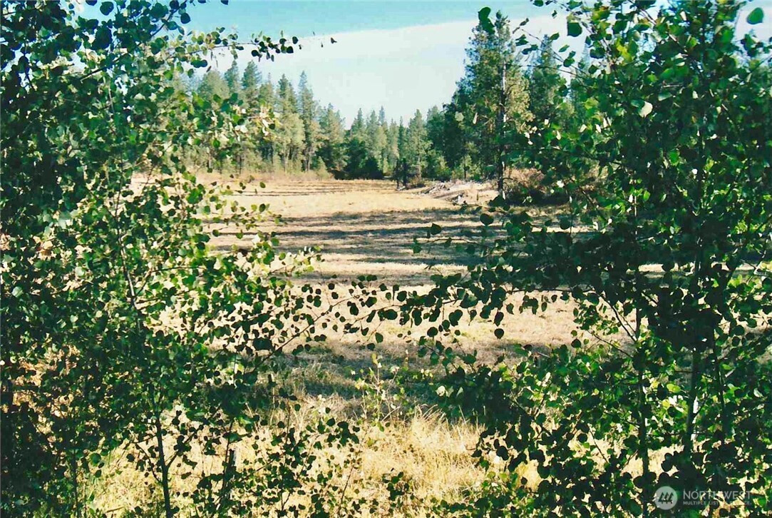 11300 S Strangland Road, Medical Lake, WA 99022