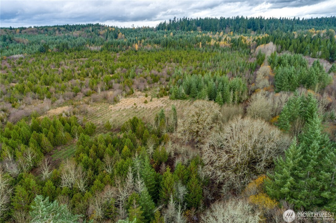 110 Frost Road, Winlock, WA 98591